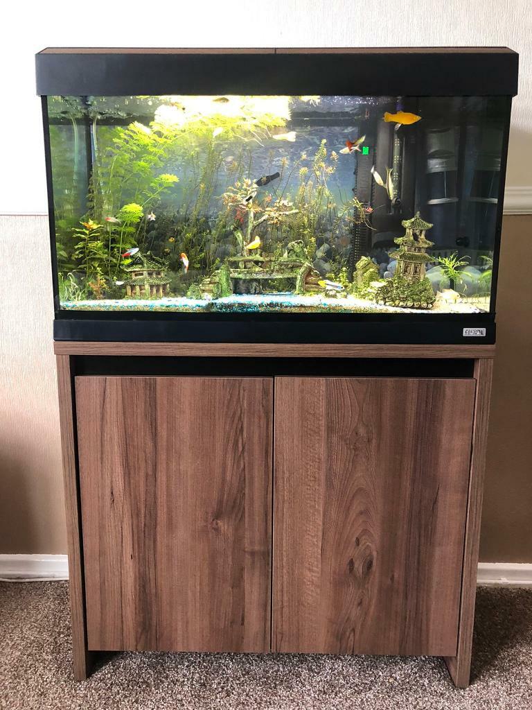 fluval roma 125